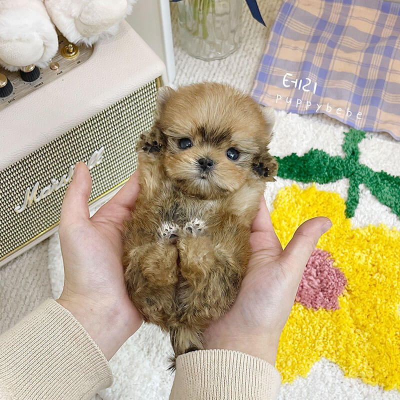 몰 키