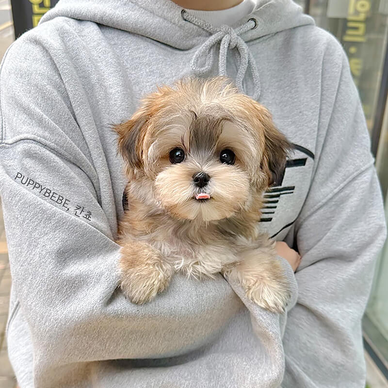 몰 키