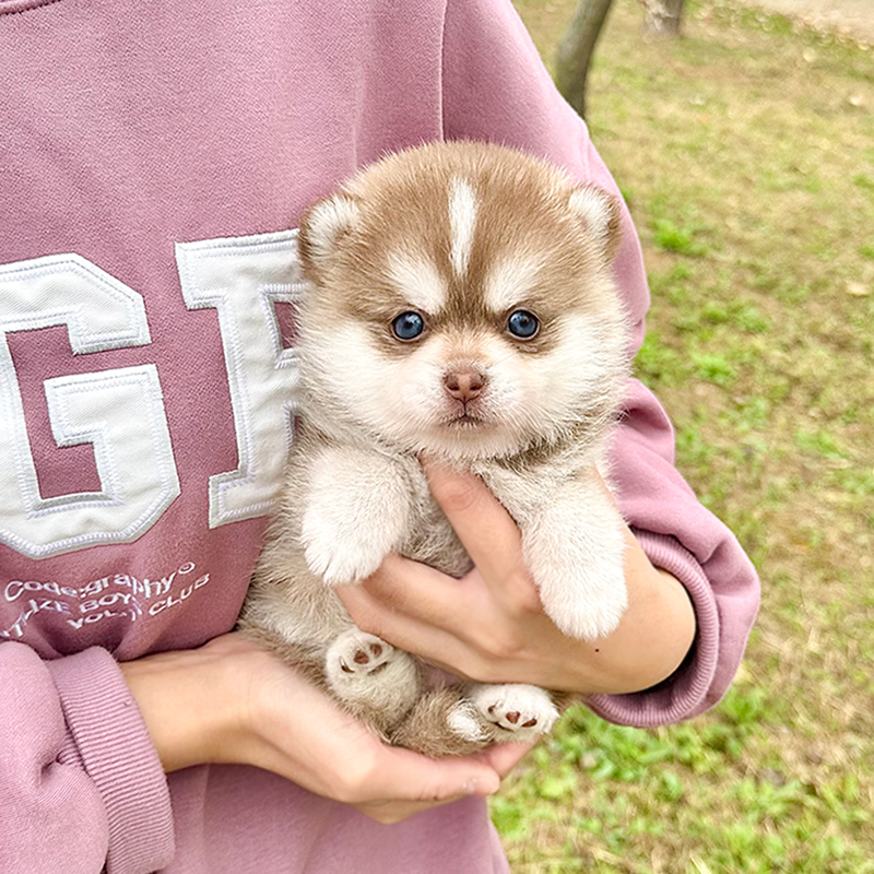폼스키