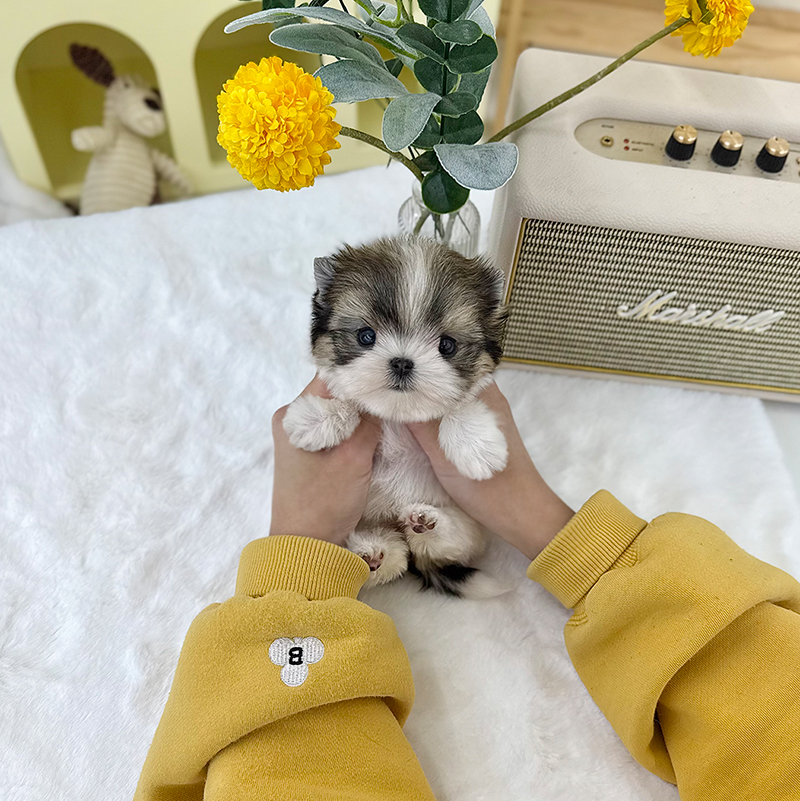 몰 키